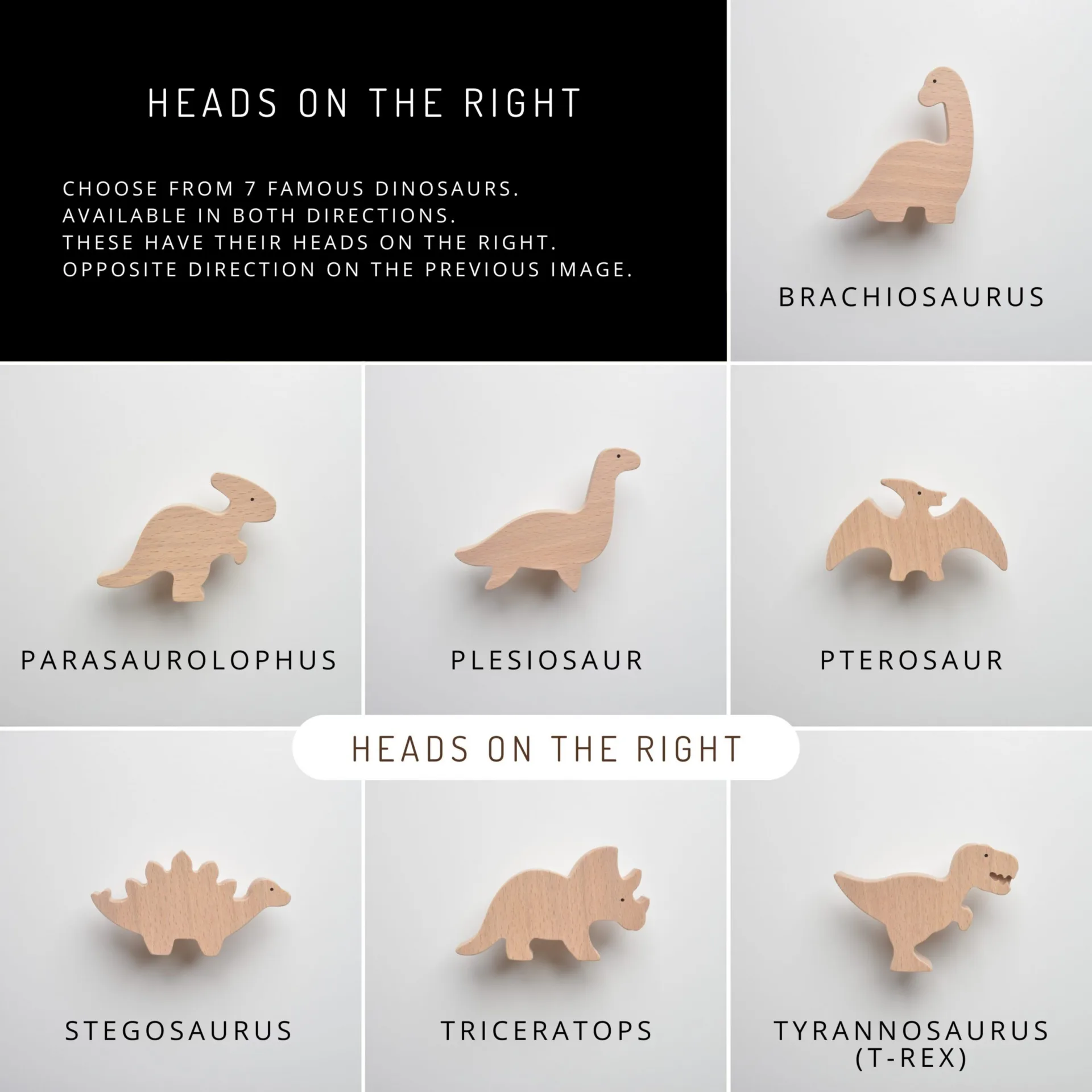Dinosaur furniture knobs, made of wood, for a child's room - List of models - FAB-FABRIK